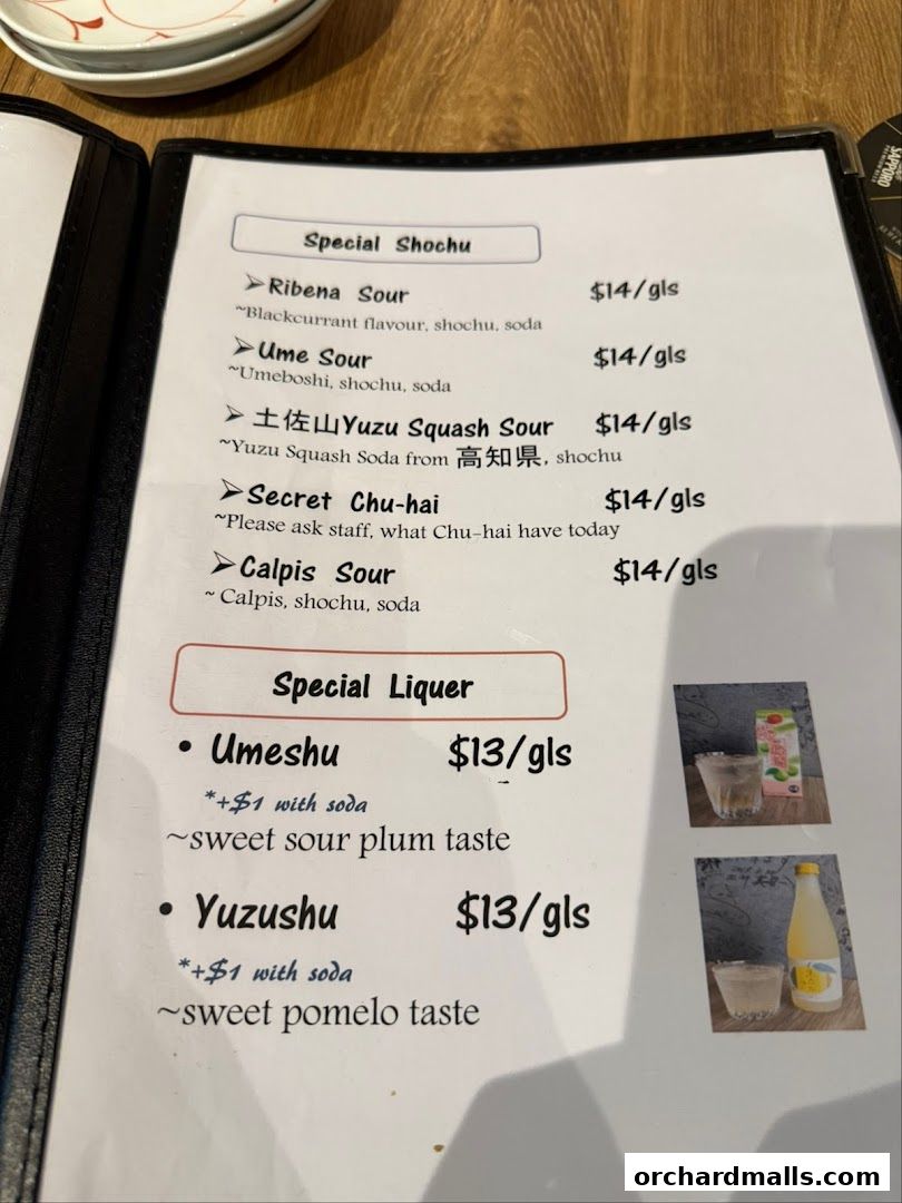 A menu page from AL Solito Japanese Italian izakaya featuring special shochu and liquers.