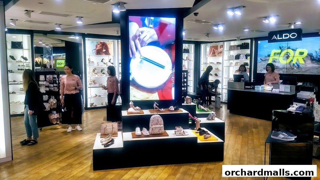 Interior view of an ALDO shoe store showcasing various footwear and handbags on display.