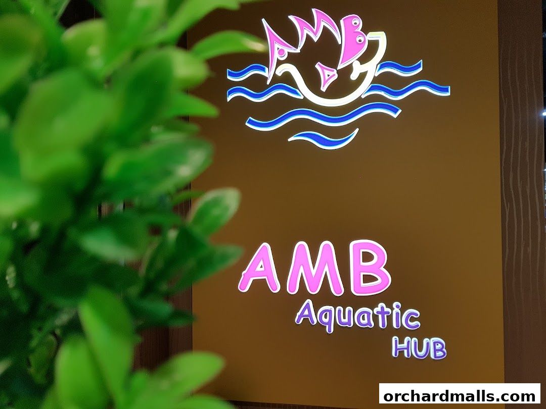 AMB Aquatic Hub