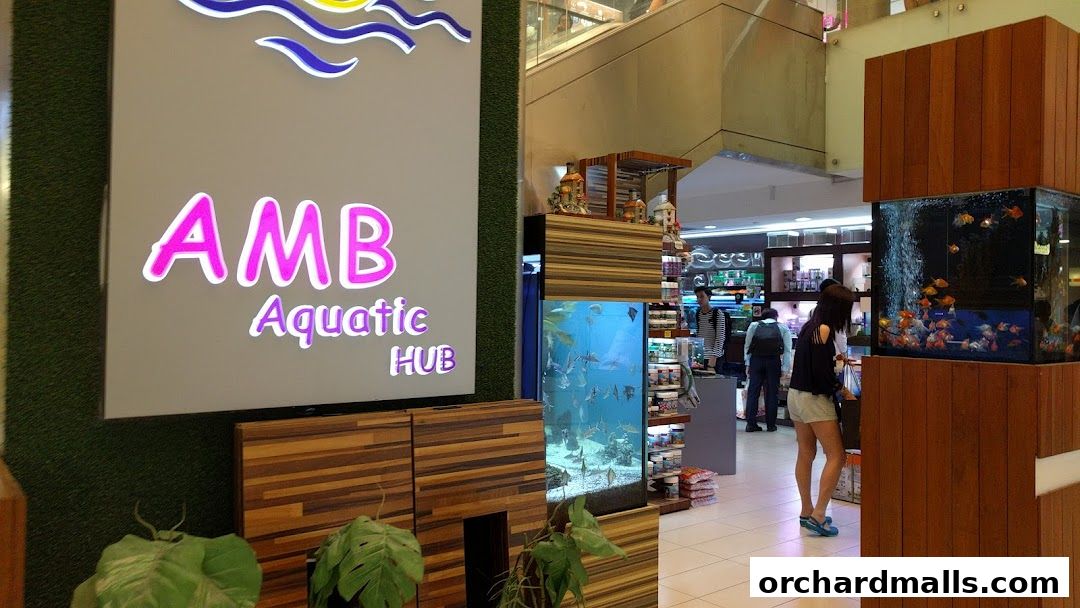 AMB Aquatic Hub