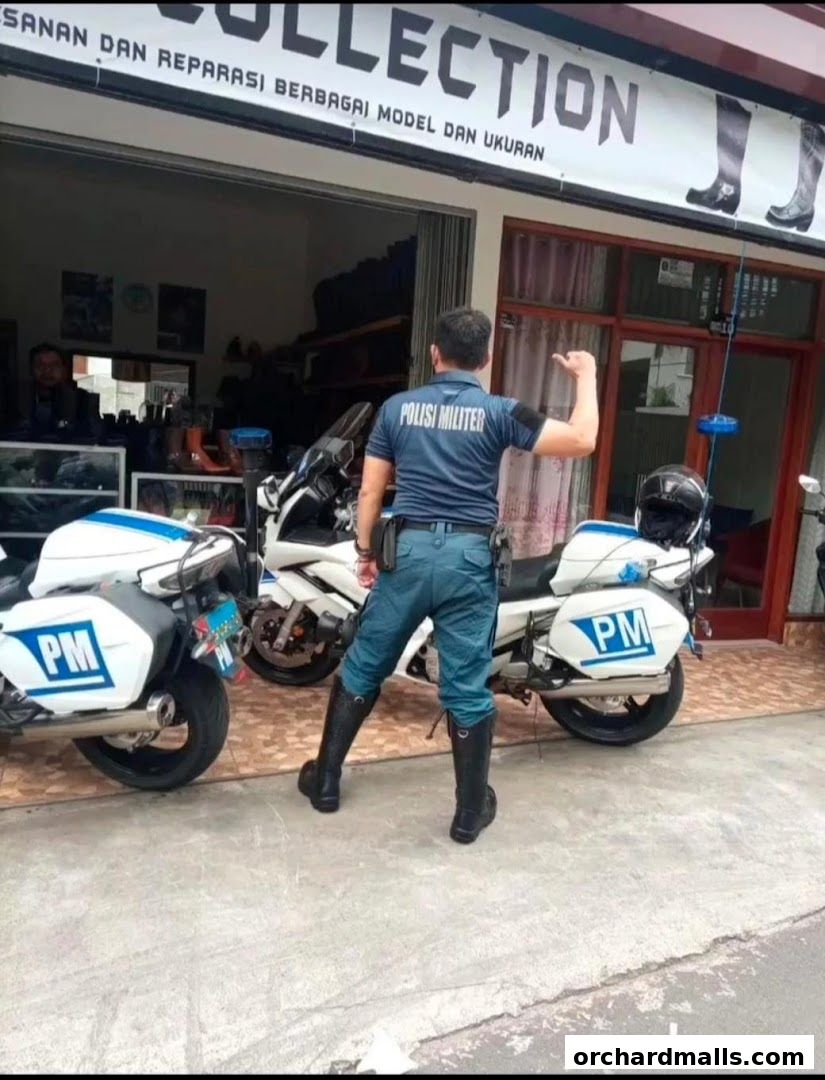 American Shoe Store By Colony Clothing