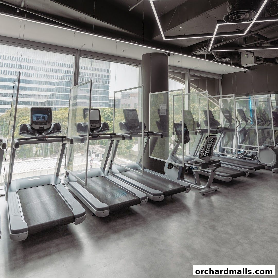 Amore Fitness  Define Plaza Singapura