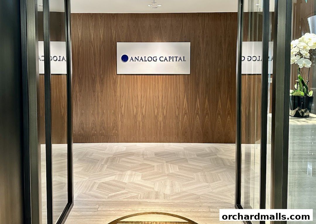 Entrance to Analog Capital with a wooden wall and modern flooring.