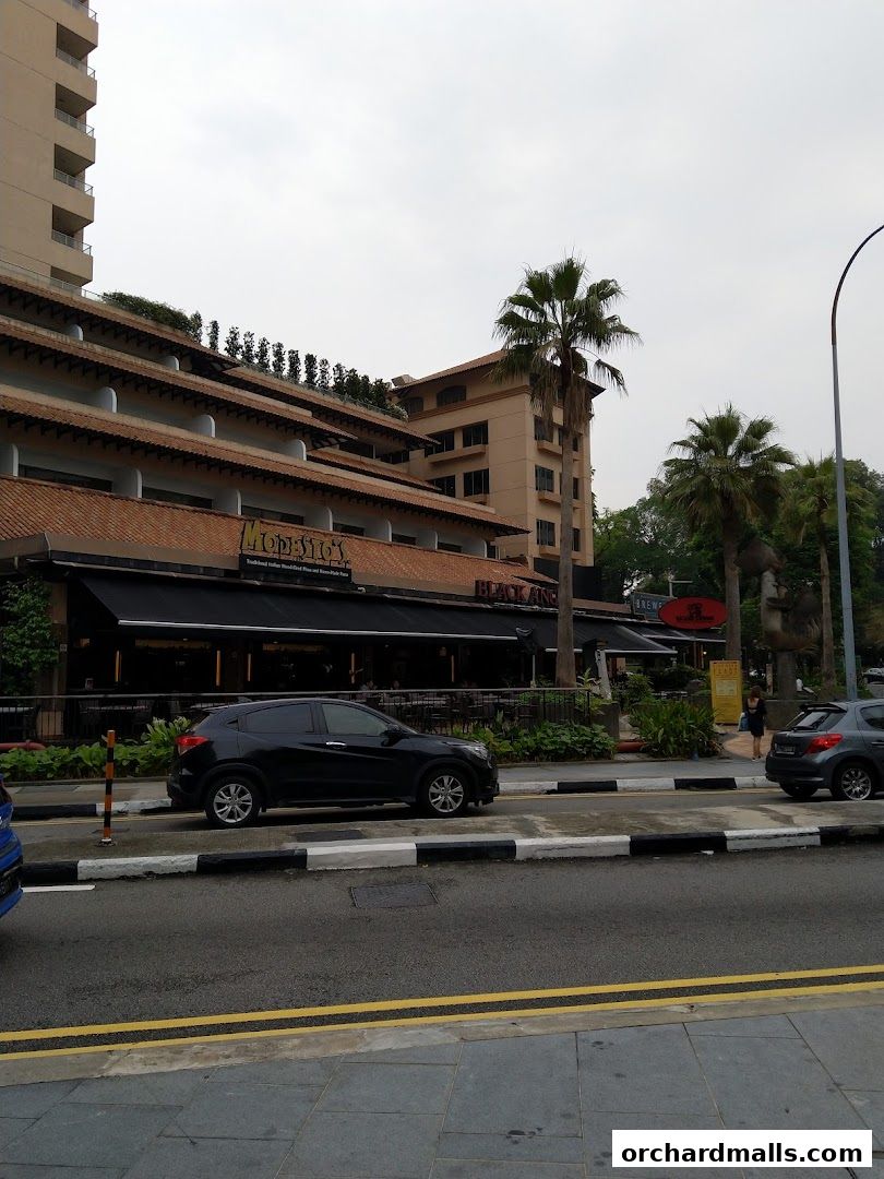 Exterior view of Modesto's restaurant with outdoor seating and palm trees.
