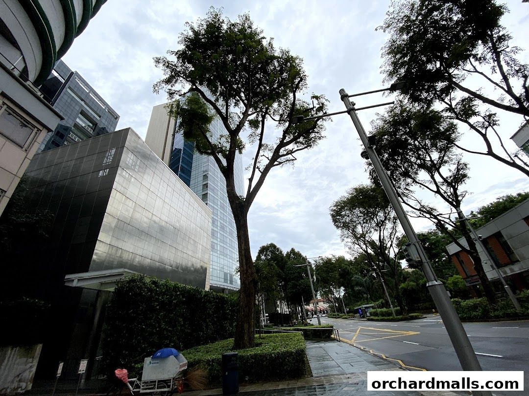 Modern glass buildings and trees line a wet street under a cloudy sky.