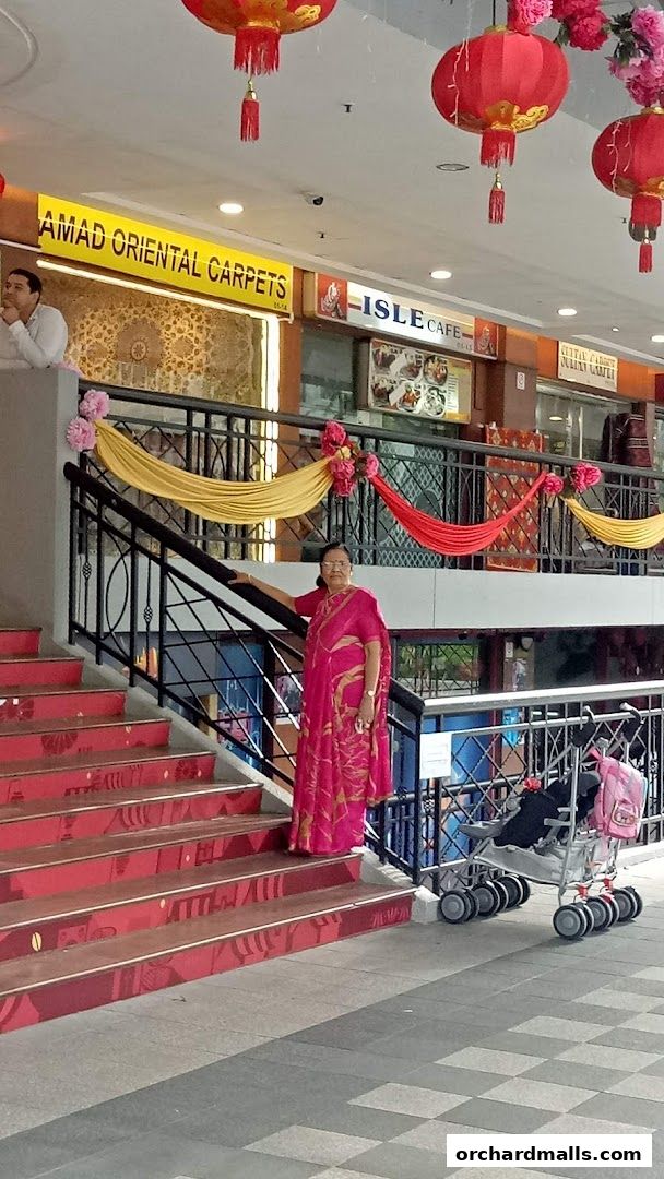 A woman in a pink sari stands on decorated stairs next to a baby stroller.