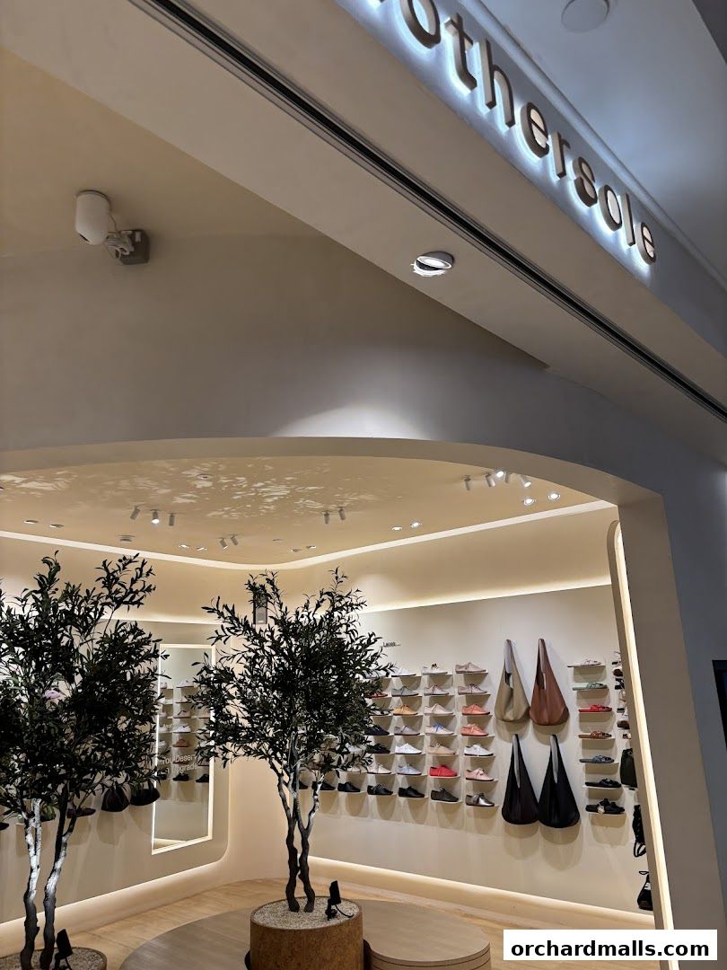 Anothersole shoe store interior with shoes and bags displayed on shelves.