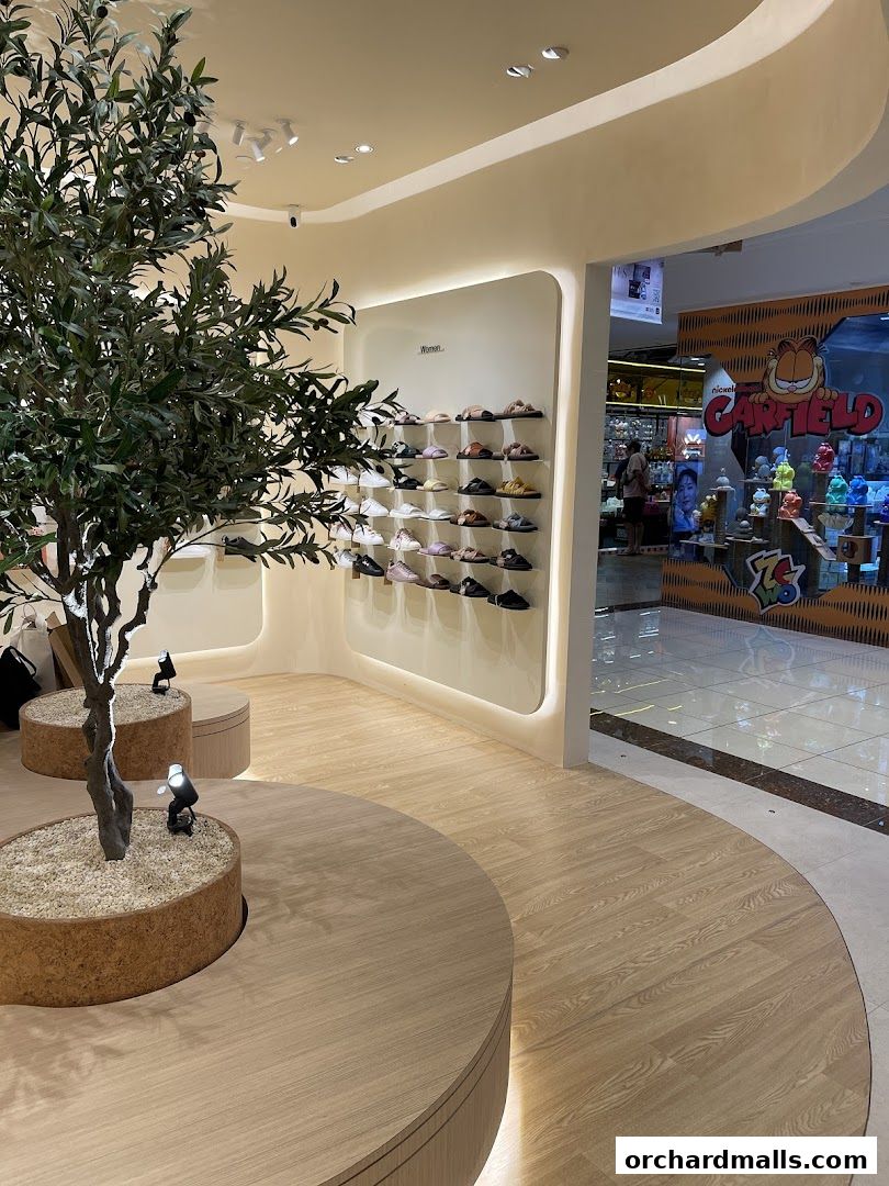 Interior of a shoe store with a display of women's sandals and a decorative tree.