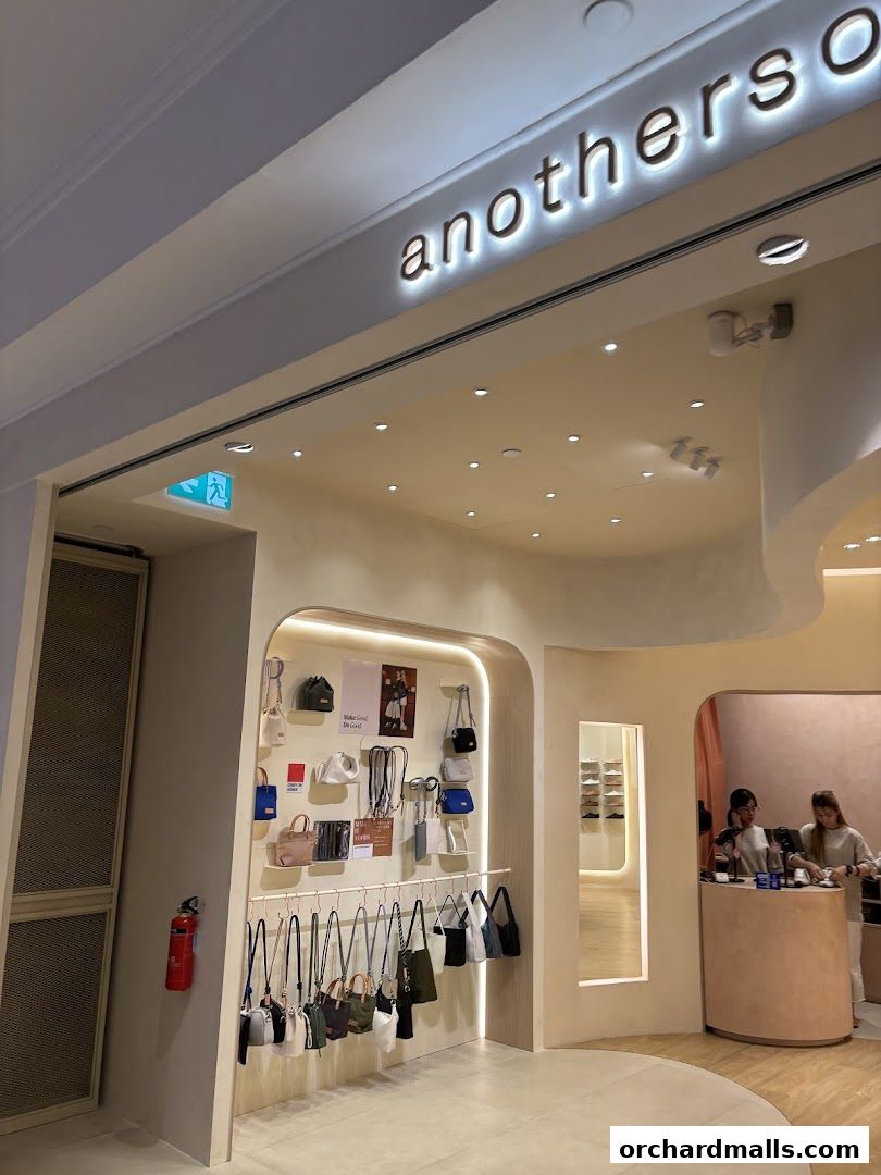 Anothersole shop entrance displaying various handbags on shelves and hanging racks.