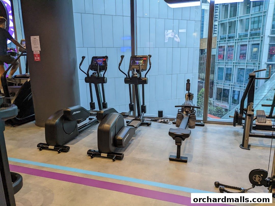 Anytime Fitness Orchard