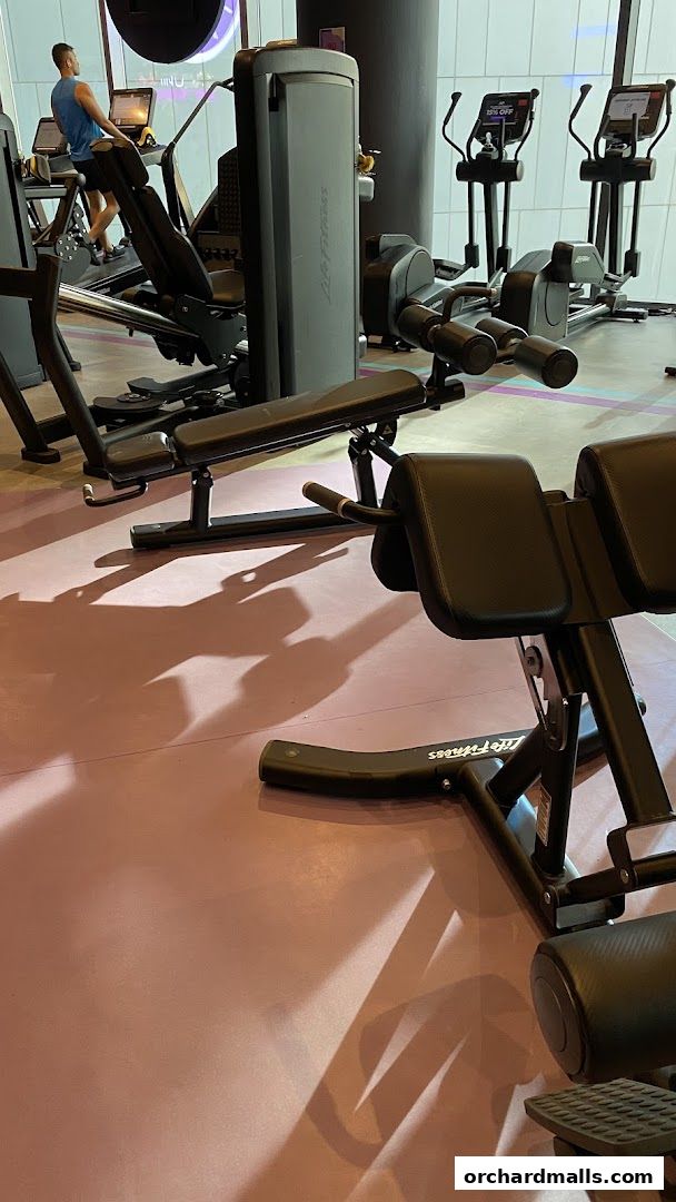 Anytime Fitness Orchard