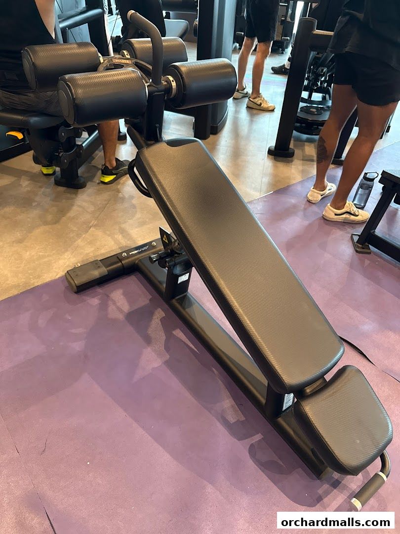 Anytime Fitness Orchard