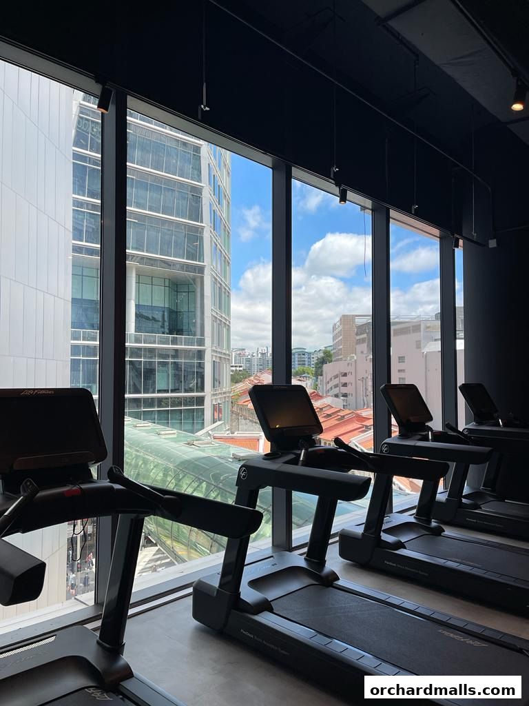 Anytime Fitness Orchard