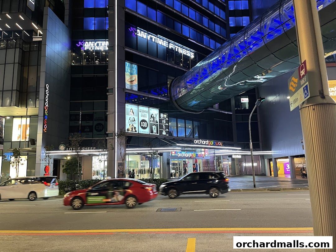 Anytime Fitness Orchard