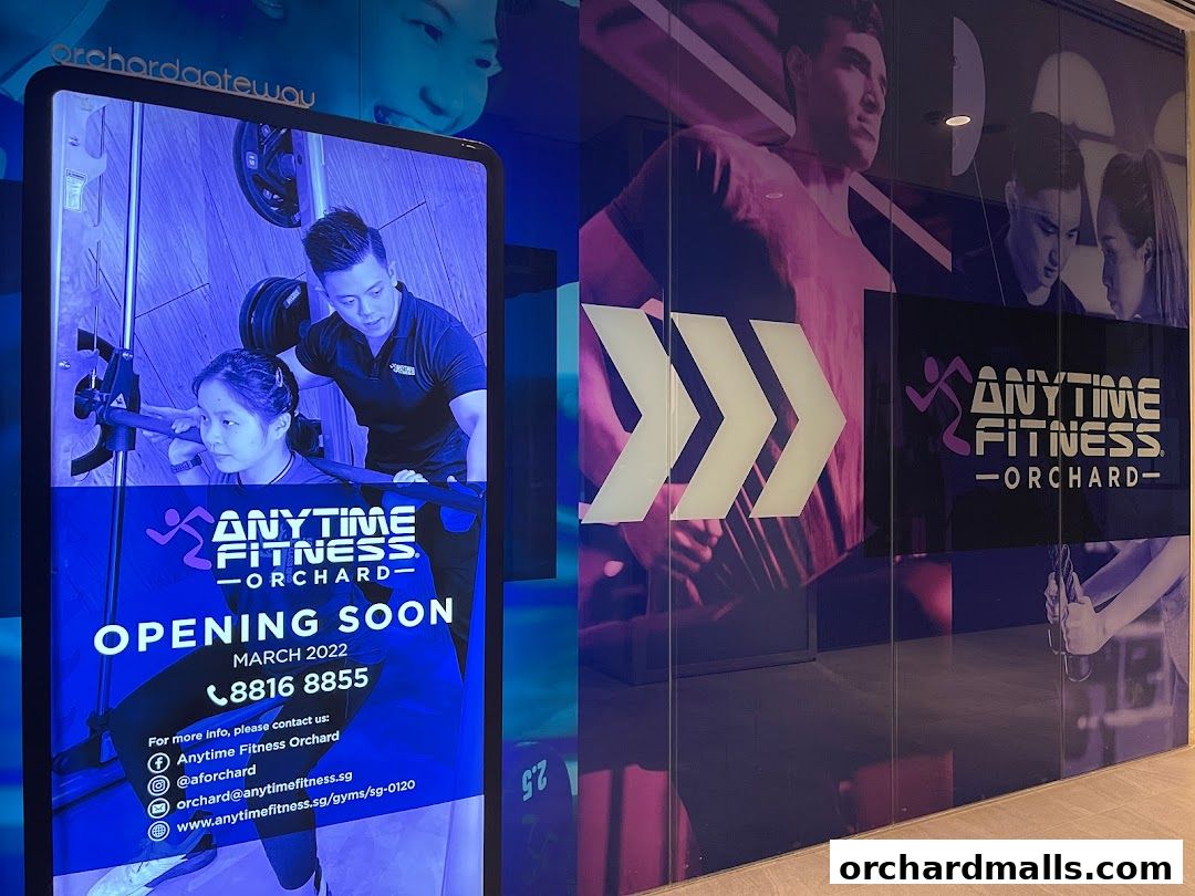 Anytime Fitness Orchard