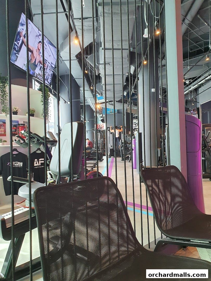 Anytime Fitness Orchard