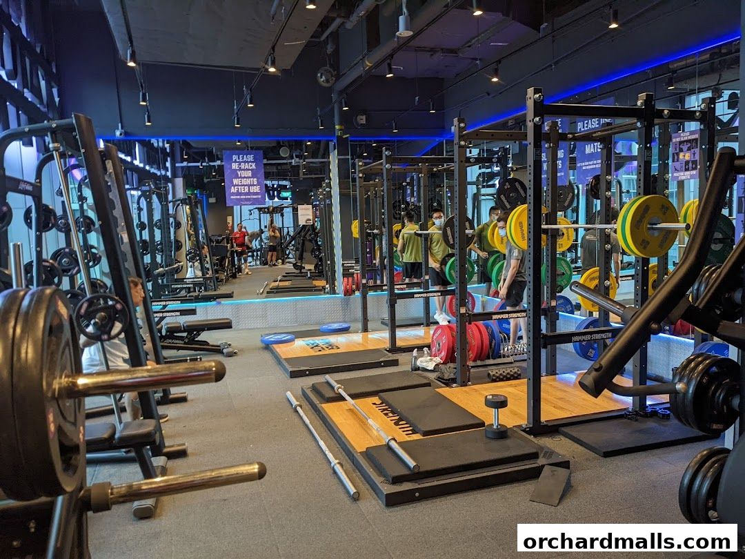 Anytime Fitness Orchard