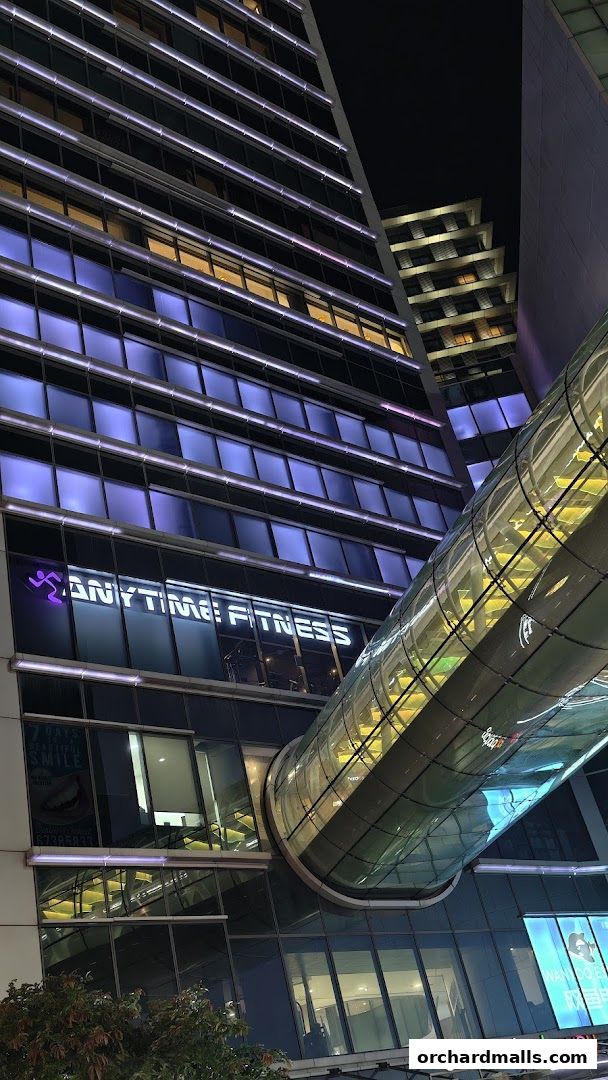 Anytime Fitness Orchard