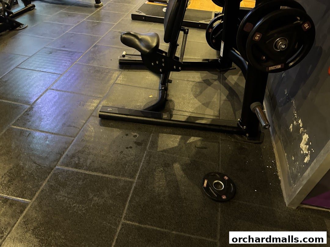 Anytime Fitness Orchard