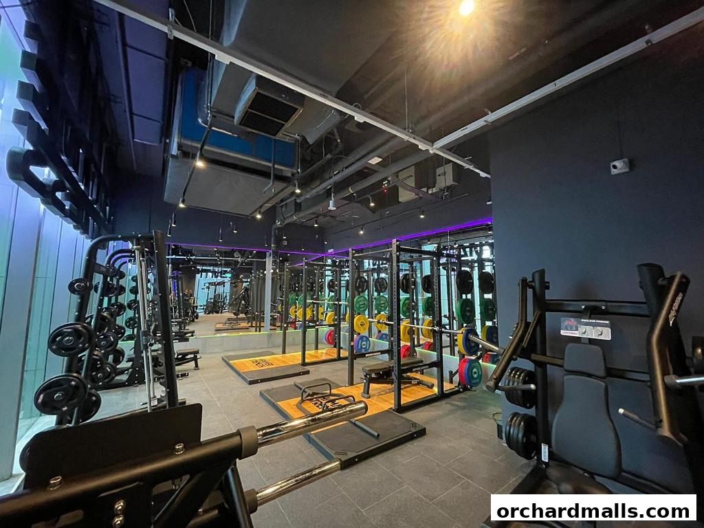 Anytime Fitness Orchard