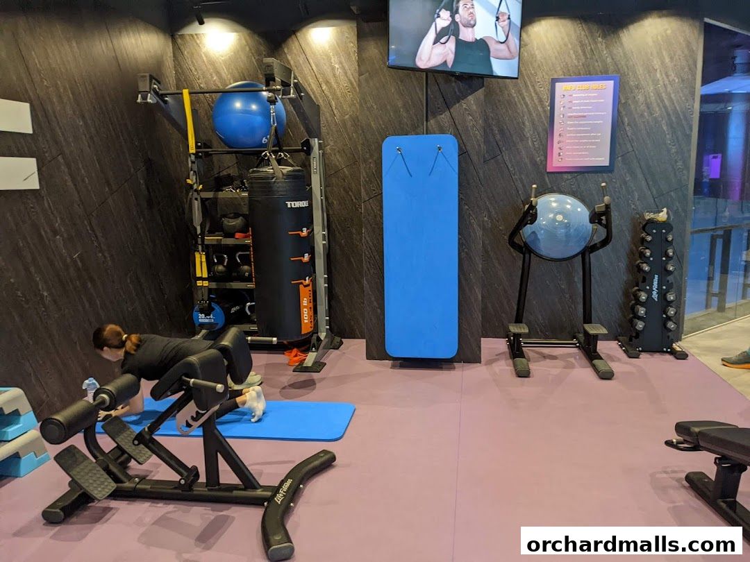 Anytime Fitness Orchard