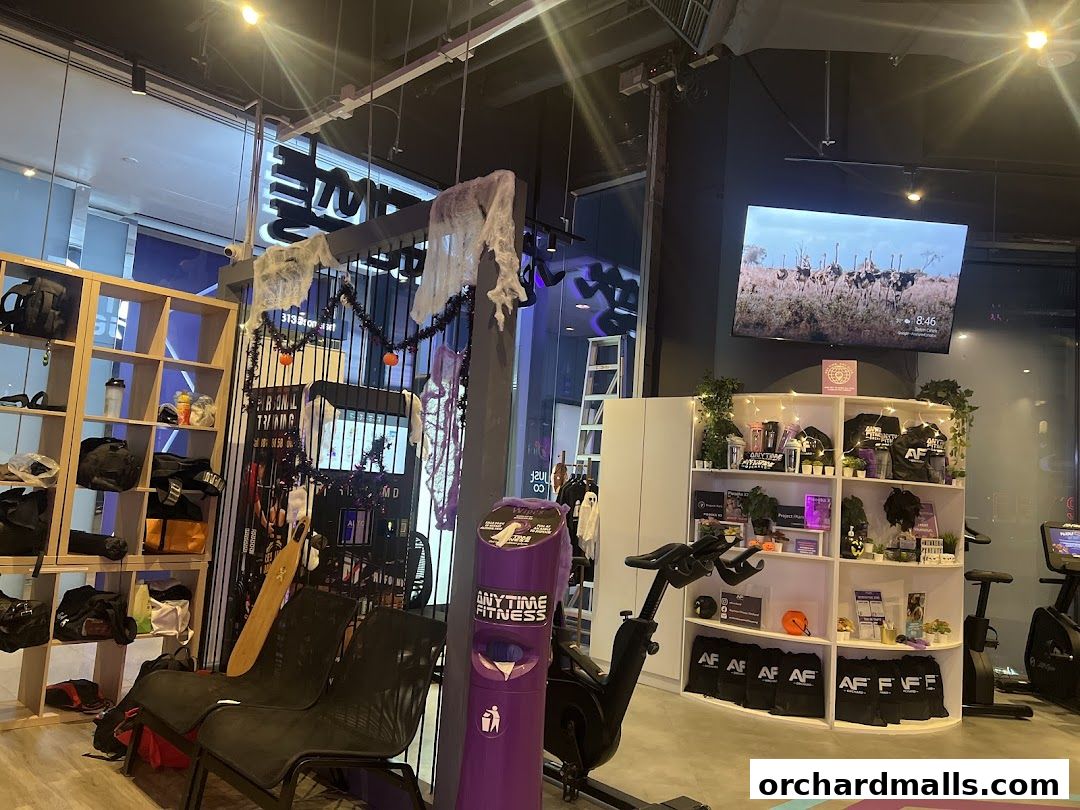 Anytime Fitness Orchard