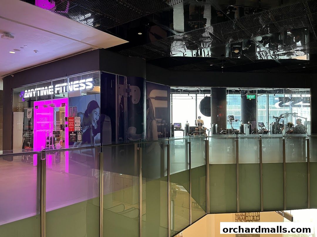 Anytime Fitness Orchard