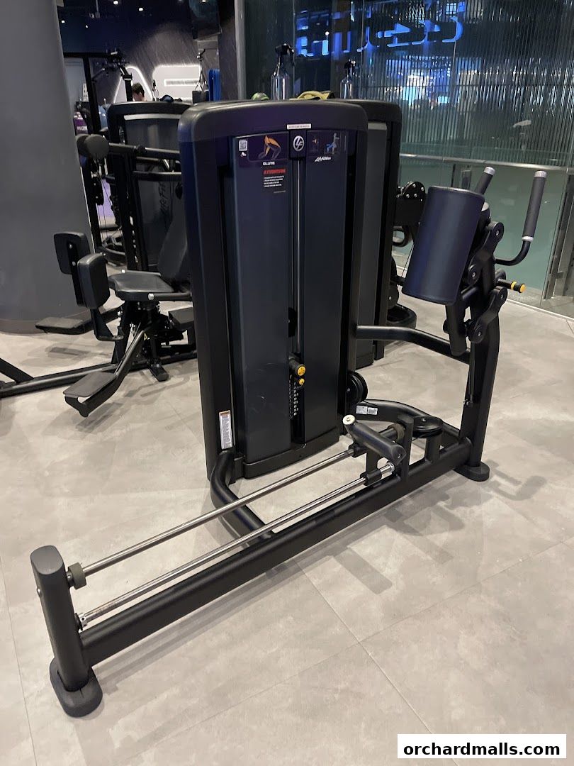 Anytime Fitness Orchard