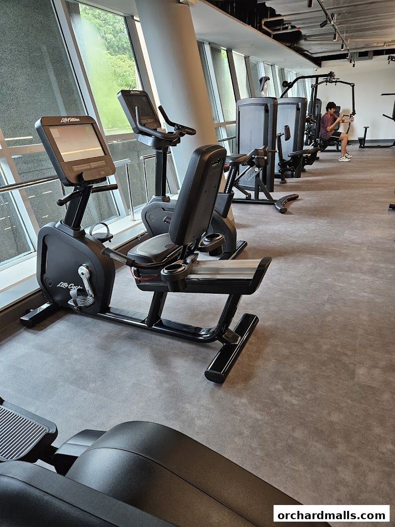 Interior view of a modern gym with cardio machines and weight training equipment.