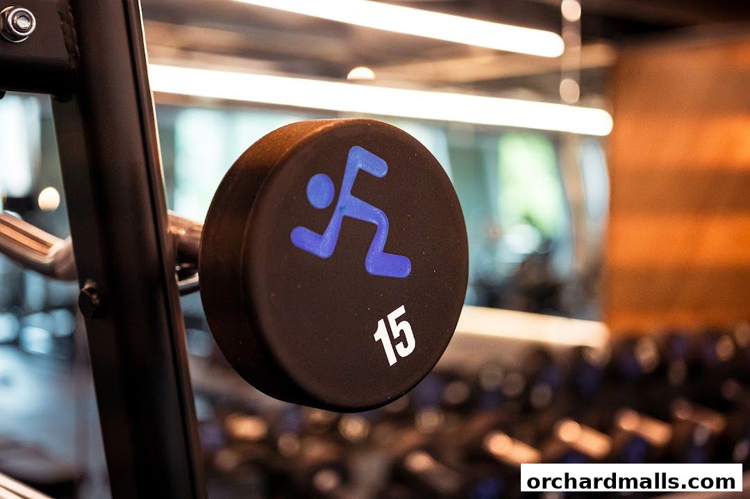 Close-up of a 15lb dumbbell with the Anytime Fitness logo.