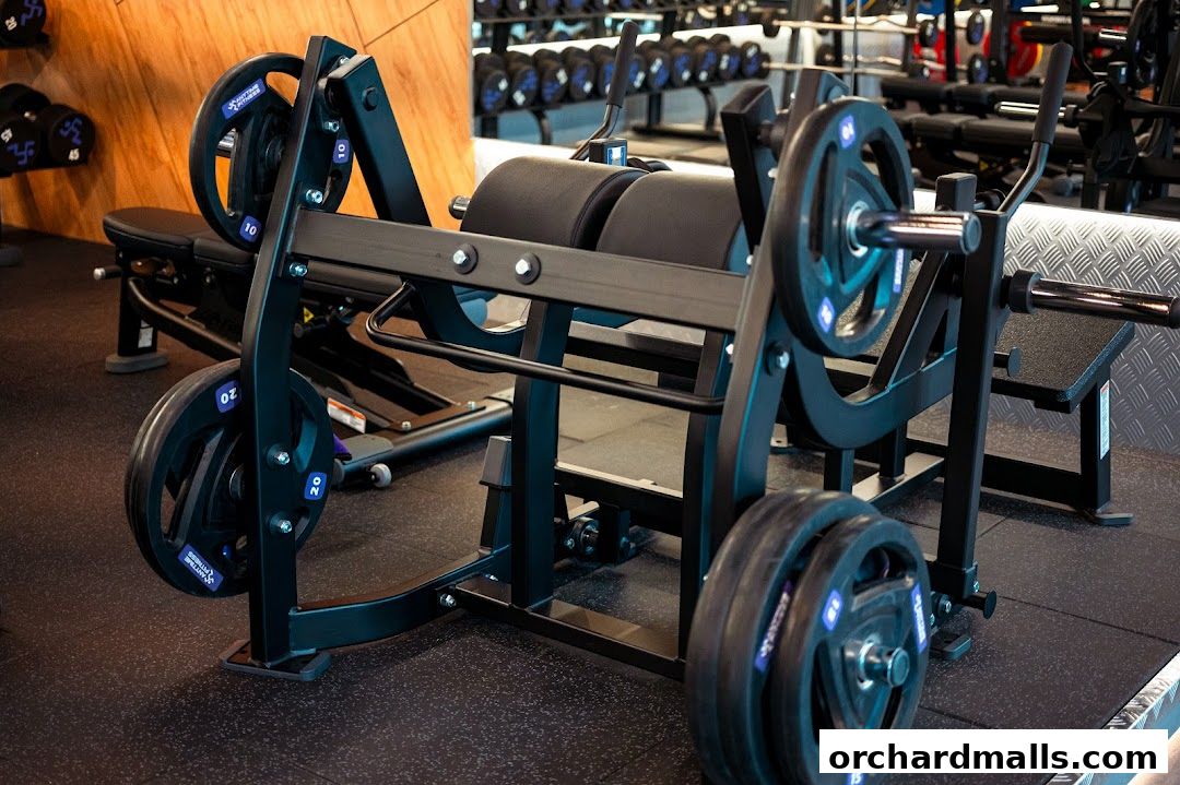 Close-up of weightlifting equipment with plates at Anytime Fitness.