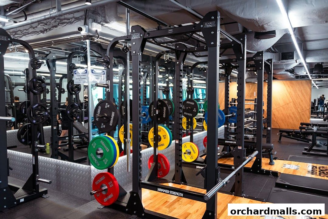 Interior of a modern gym with weight racks, barbells, and weight plates.