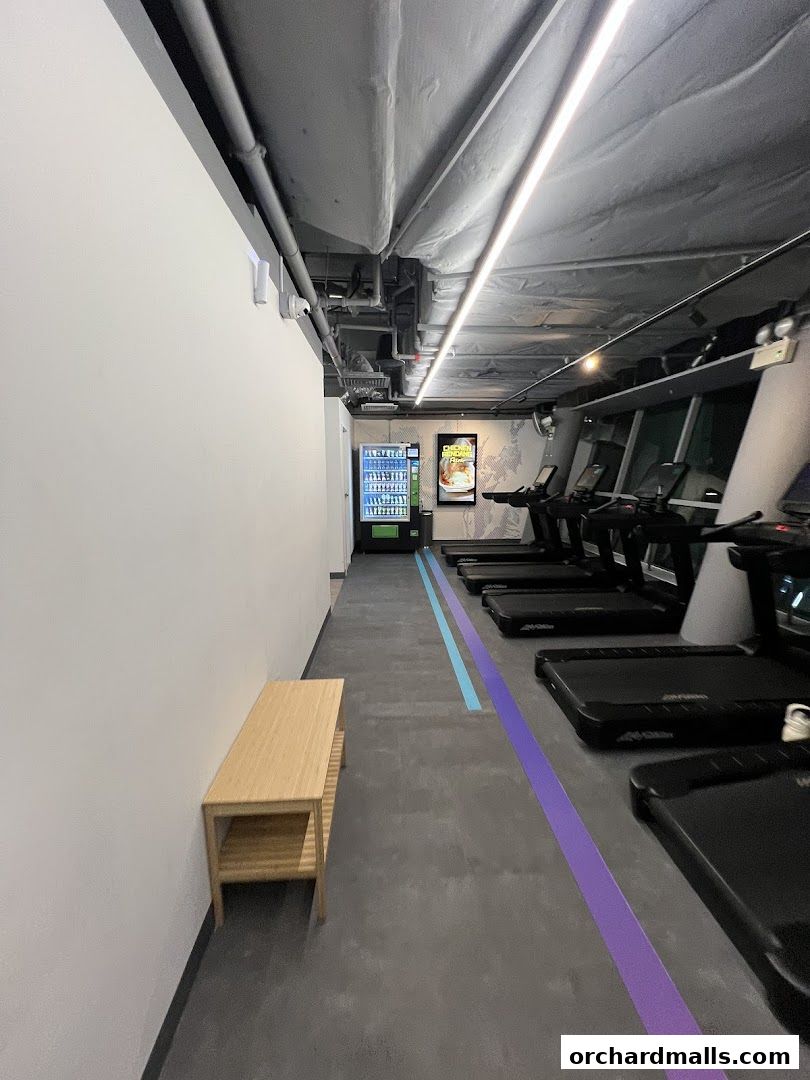 Interior view of a gym with treadmills, a vending machine, and a bench.