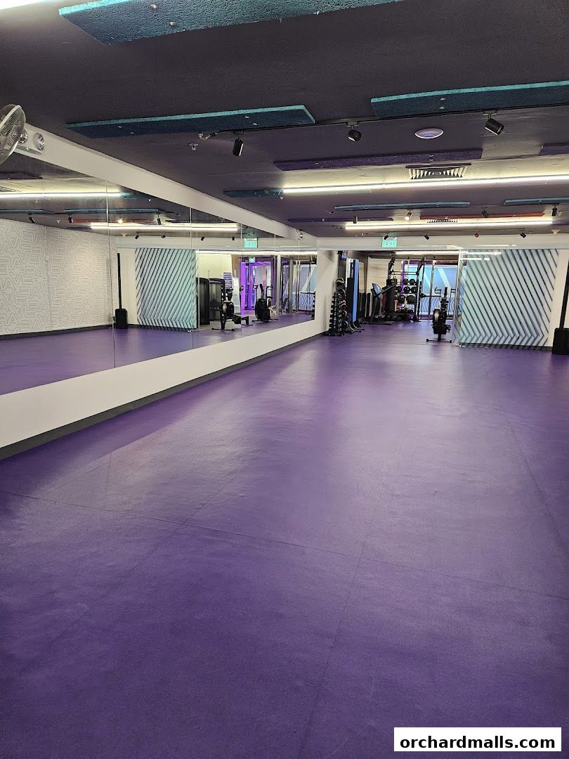Interior view of a modern gym with purple flooring and exercise equipment.