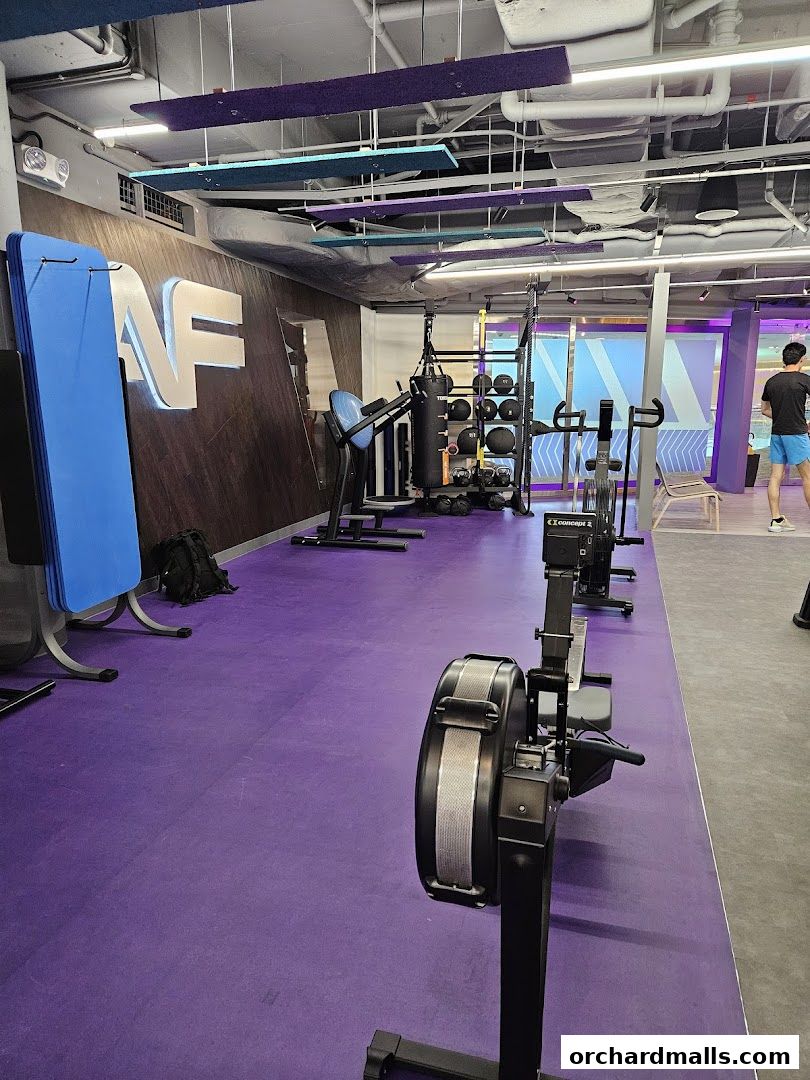 Interior of a modern gym with rowing machines, punching bags, and weights.