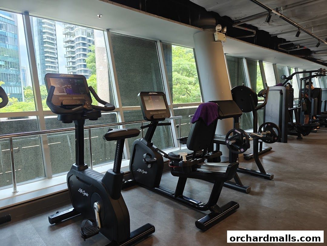 Interior view of a modern gym with cardio machines and weight training equipment.