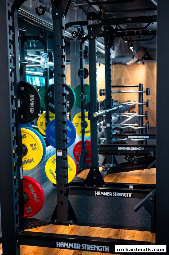 Interior view of a gym with weight racks, colorful weight plates, and barbells.