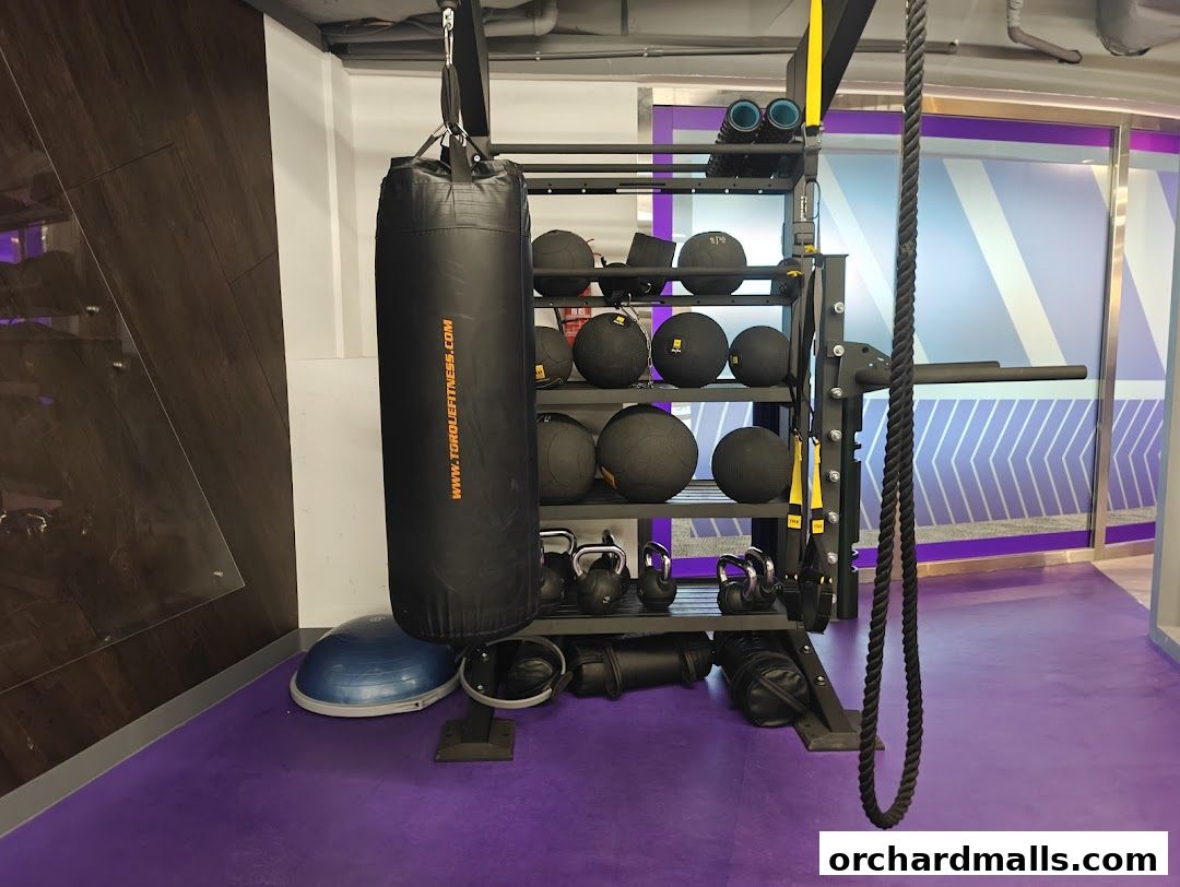 Interior shot of a gym with a punching bag, medicine balls, and other fitness equipment.