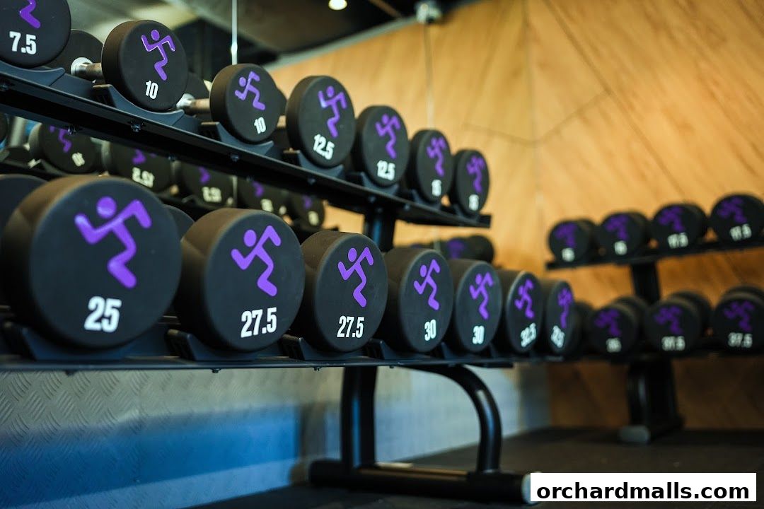 A rack of dumbbells with weights ranging from 7.5 to 37.5 pounds.