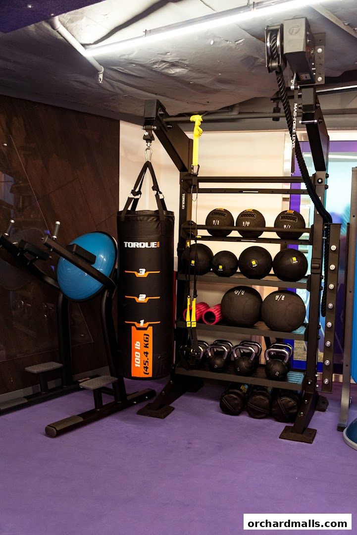Interior shot of a gym with a punching bag, medicine balls, kettlebells, and exercise equipment.