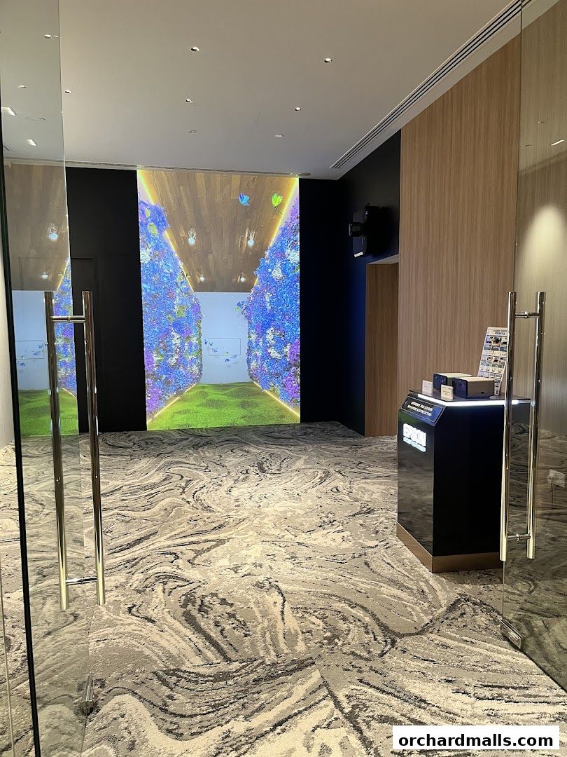 AOE - Art of Entertainment