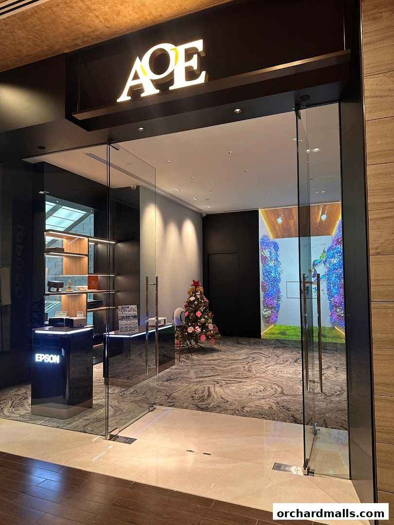 AOE - Art of Entertainment