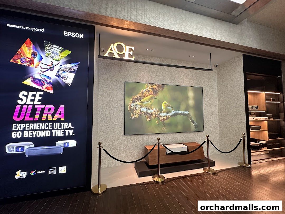 AOE - Art of Entertainment