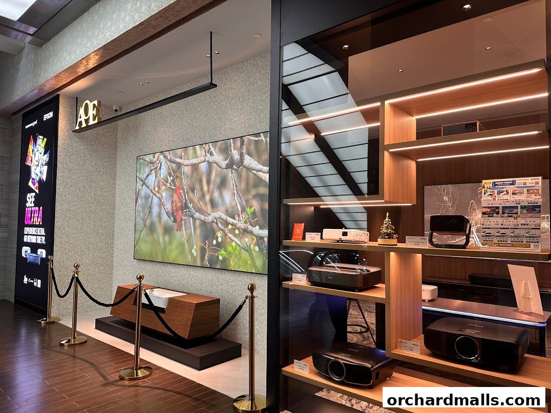 AOE - Art of Entertainment