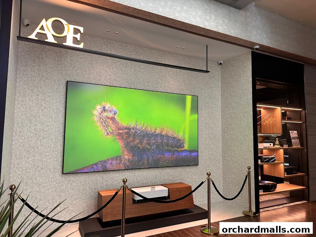 AOE - Art of Entertainment