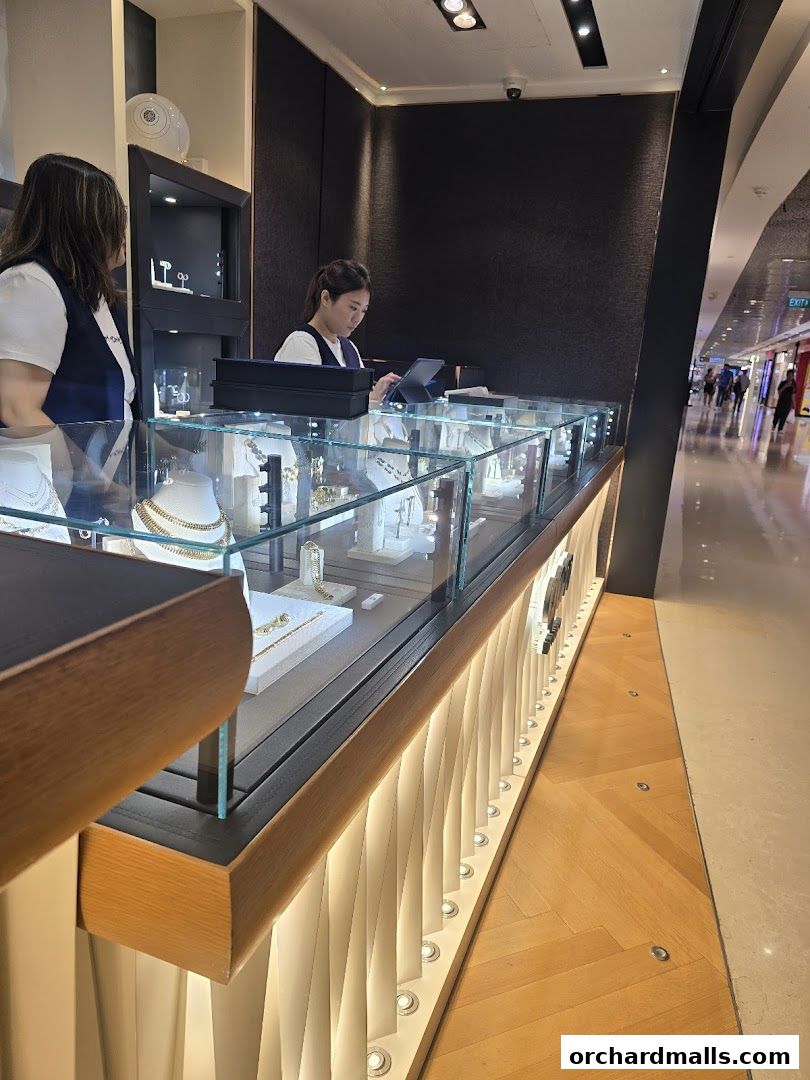 Two staff members attend to a jewelry display counter inside a modern retail store.