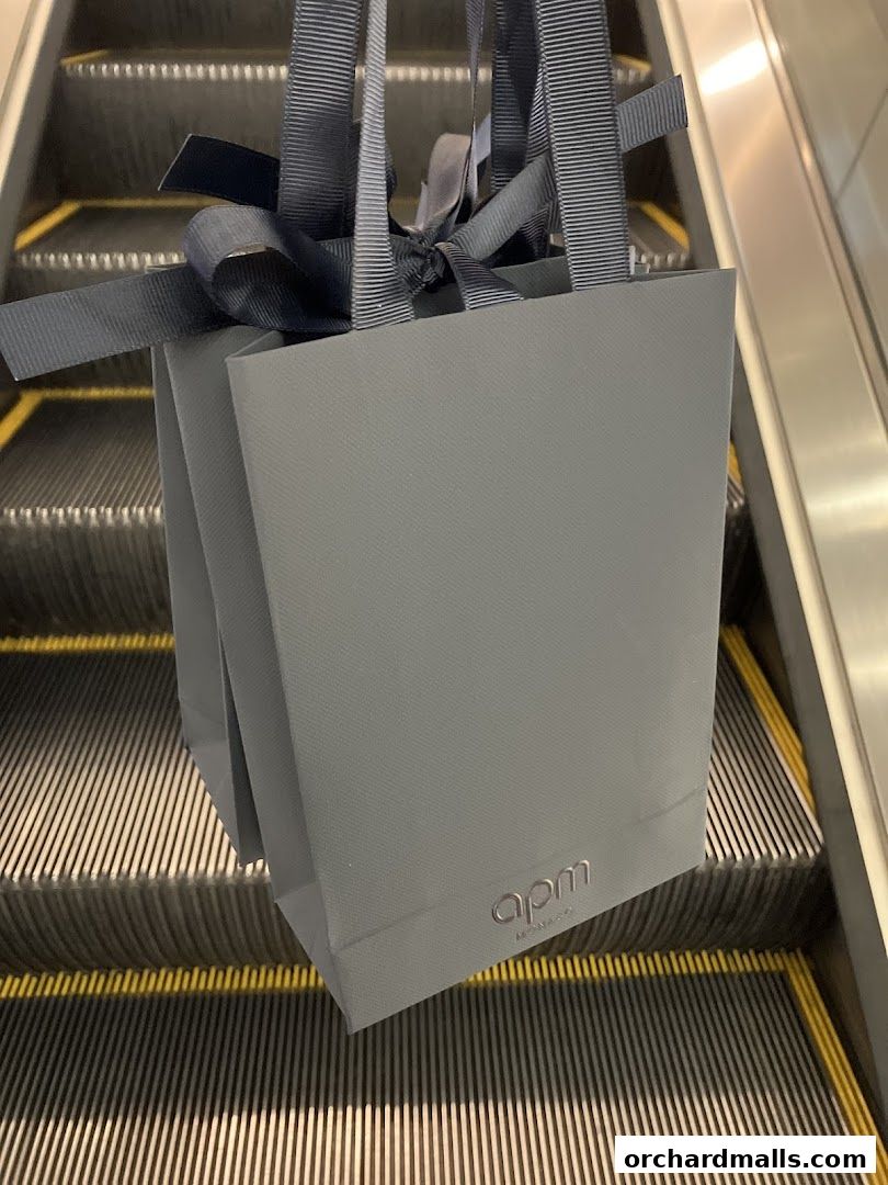 APM Monaco Singapore Paragon