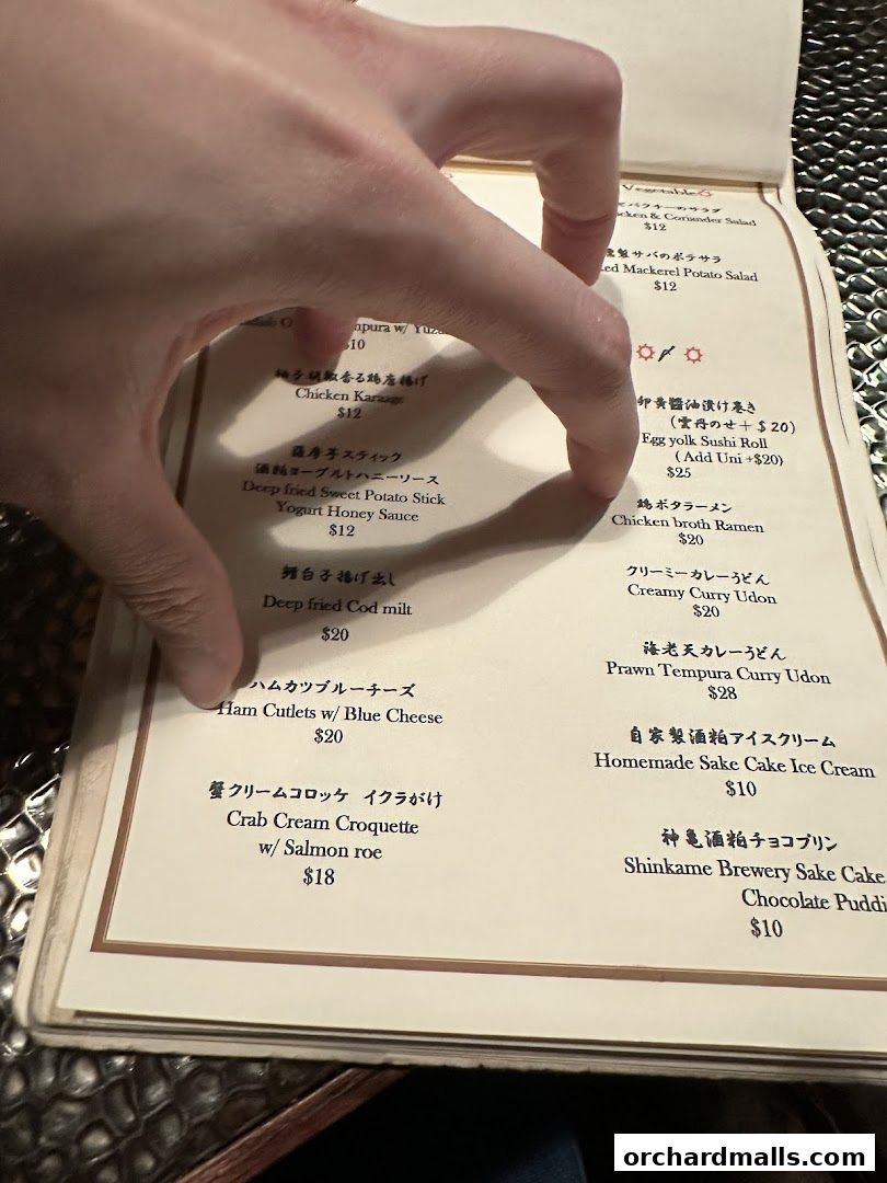 A hand points to a menu with Japanese and English food items and prices.
