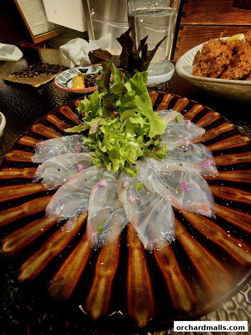 A beautifully presented plate of sashimi with a fresh green salad and dipping sauces.