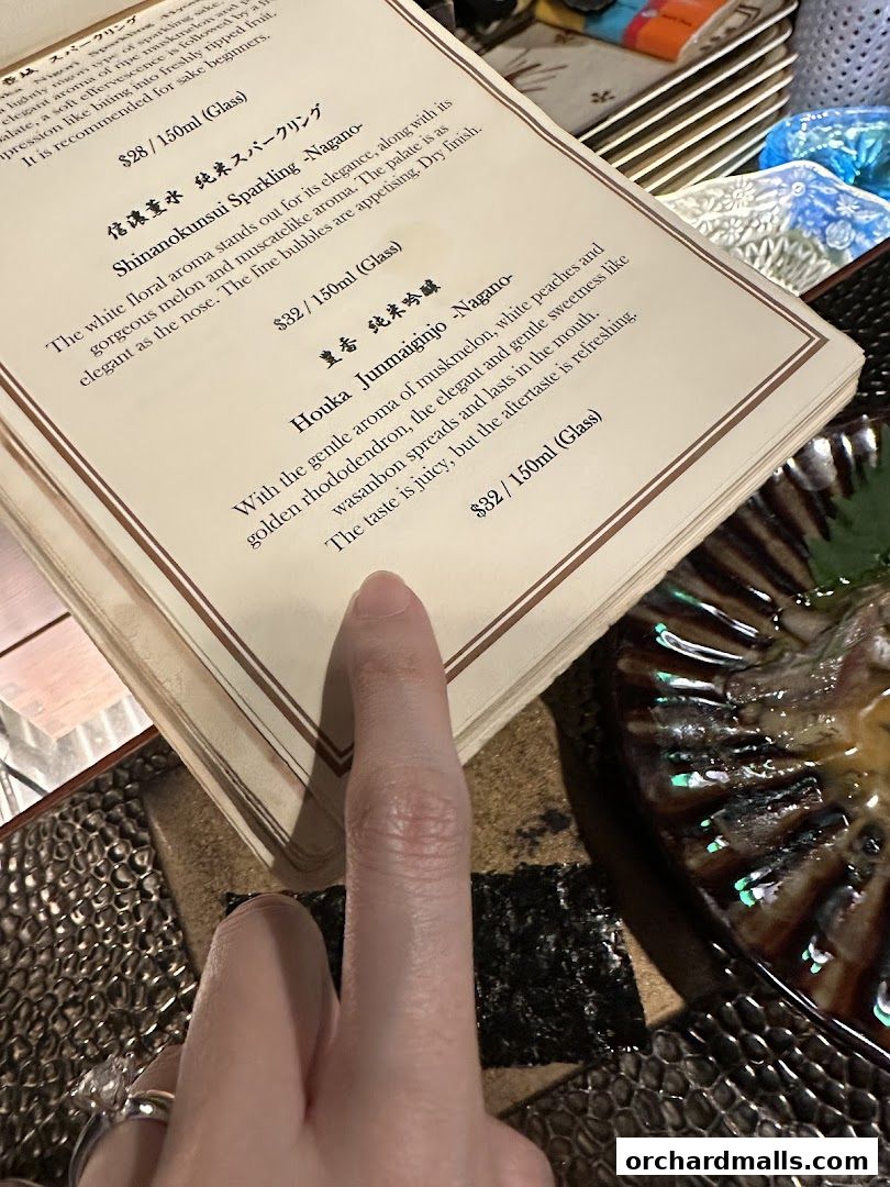 A finger points to a menu with Japanese sake descriptions and prices.